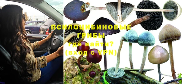 дмт Армянск