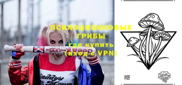 дмт Армянск