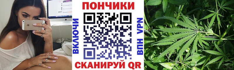 хочу наркоту  Чебаркуль  Бошки Шишки индика 